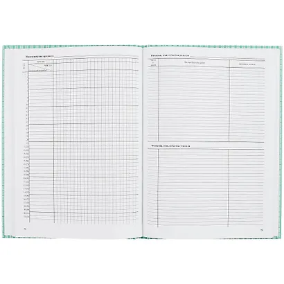 Классный журнал 10-11 класс - фото 2