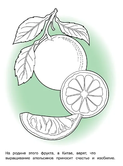 Фрукты. Окружающий мир. Раскраска - фото 3