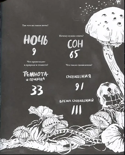 Ночь. Книга о сне и тайнах темноты - фото 3