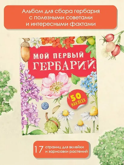 Мой первый гербарий - фото 3