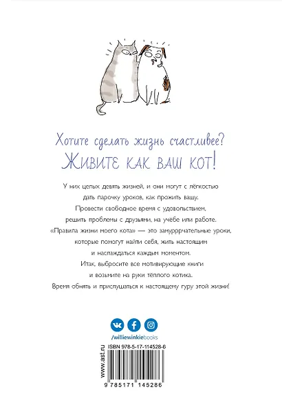 Правила жизни моего кота - фото 2