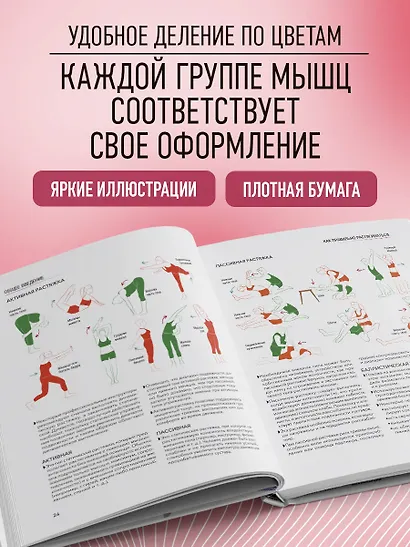 Анатомия растяжки. Иллюстрированное руководство для развития гибкости мышц и подвижности суставов - фото 5