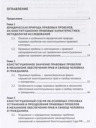 Правовые пробелы в механизме конституционного обеспечения прав и свобод человека и гражданина в РФ (в свете практики Конституционного Суда Российской Федерации). Монография - фото 2