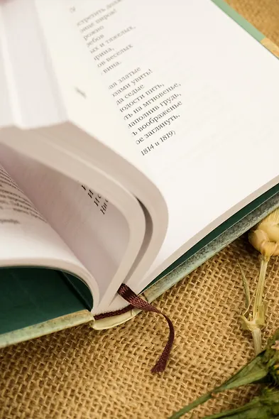 Золотой век русской поэзии - фото 9