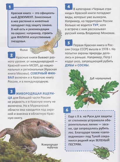 Красная книга России. Энциклопедия российского школьника - фото 3