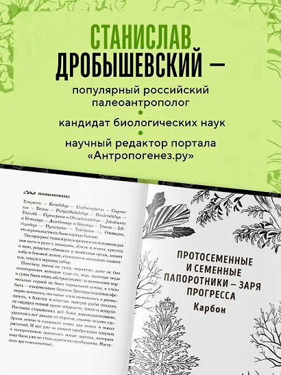 Ботаника антрополога. Как растения создали человека. Елки-палки - фото 8