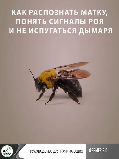 Пчеловодство. Пасека. Практическое пособие для начинающего пчеловода - фото 8