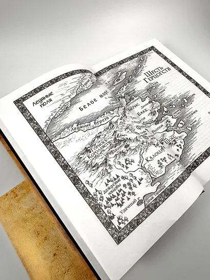 Сага о Видящих. Книги 1 и 2. Ученик убийцы. Королевский убийца - фото 9