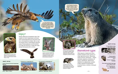 Яркий мир животных - фото 6