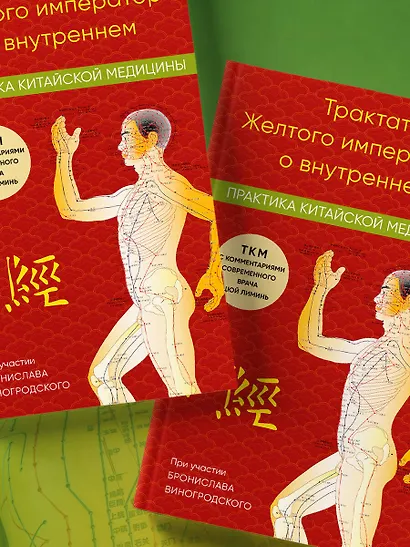 Трактат Желтого императора о внутреннем. Практика китайской медицины - фото 7
