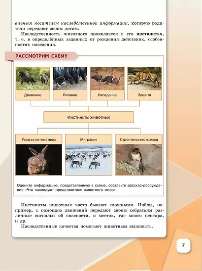 Обществознание. 6 класс. Учебник - фото 4