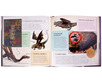 Harry Potter – Magical Creatures: A Movie Scrapbook - фото 4