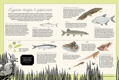 Муми-тролли на рыбалке - фото 3