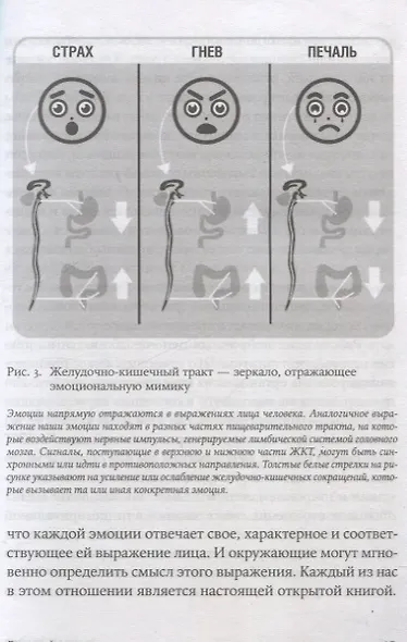 Второй мозг. Как микробы в кишечнике управляют нашим настроением, решениями и здоровьем - фото 7