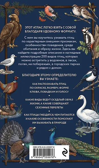 Птицы. Карманный атлас-определитель - фото 2