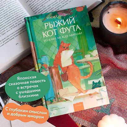 Рыжий кот Фута из кафе между мирами - фото 5