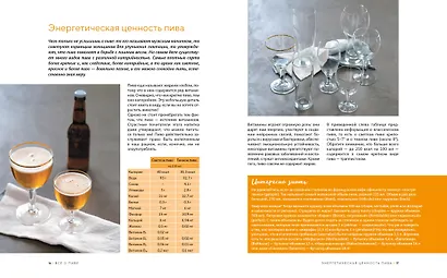 Beer Expert: Пиво. Идеальный путеводитель по сортам, видам, рецептам - фото 7