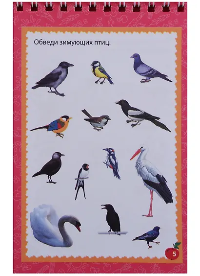 Блокнот занимательных заданий Умная лошадка (5-8 л.) (м) (ФГОС ДО) (пружина) - фото 3