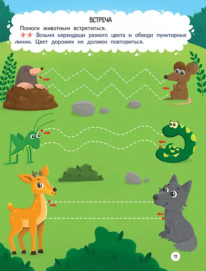 Лес: книжка-раскраска - фото 3