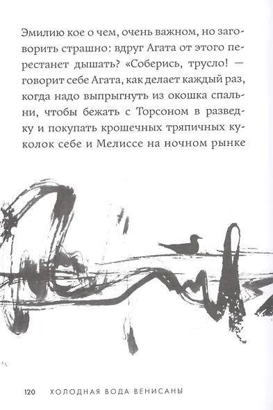 Холодная вода Венисаны - фото 8