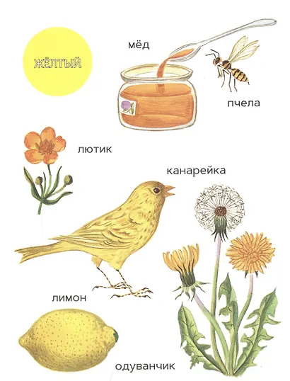 Моя первая книжка о цвете - фото 2