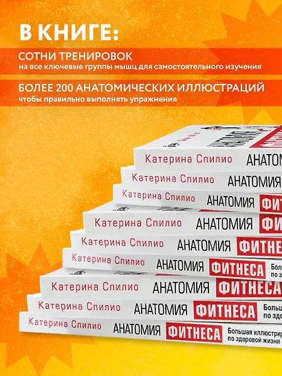 Анатомия фитнеса. Большая иллюстрированная энциклопедия по здоровой жизни в красивом теле - фото 6