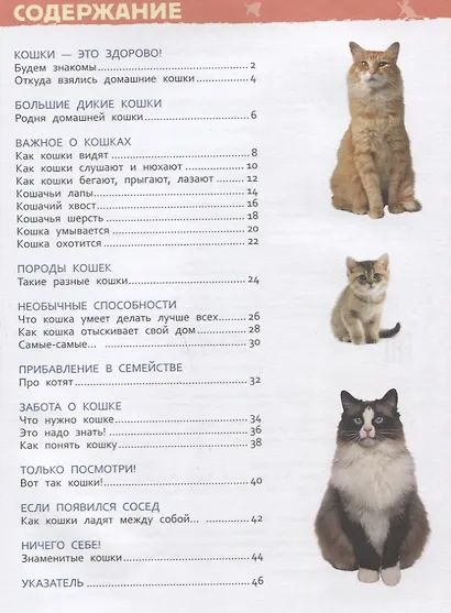 Кошки и котята. Энциклопедия для детского сада - фото 6
