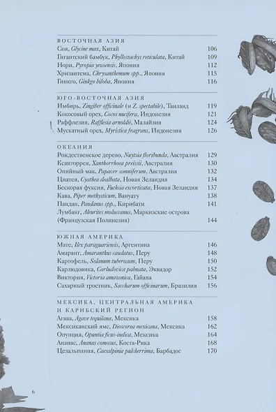 Вокруг света за 80 растений - фото 6