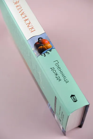 Пленница дождя: роман - фото 9