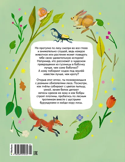 Кто живёт в лесу? Иллюстрированный атлас животных - фото 2