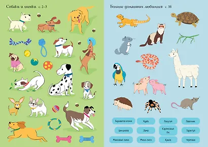 Мои питомцы - фото 10