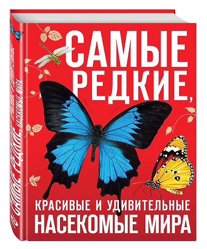 Самые редкие, красивые и удивительные насекомые мира - фото 3