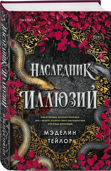 Наследник иллюзий (#1) - фото 3