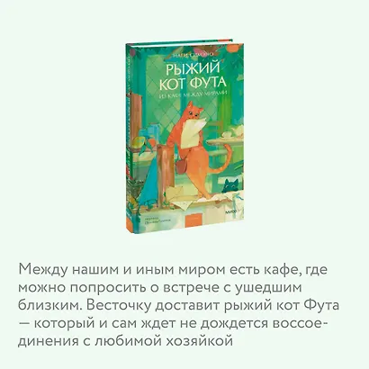 Рыжий кот Фута из кафе между мирами - фото 6