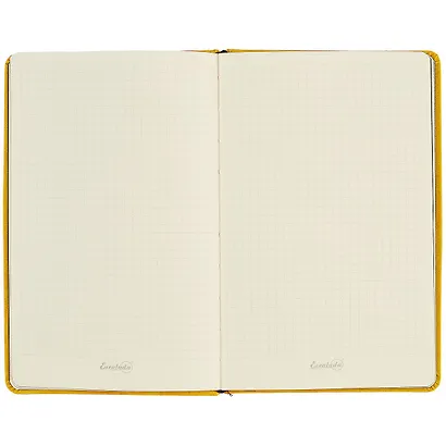 Записная книжка «Джинс делавэ жёлтый», 96 листов, А5 - фото 4