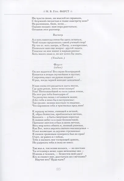 Лицен-Майер Александр: Фауст. Трагедия - фото 5