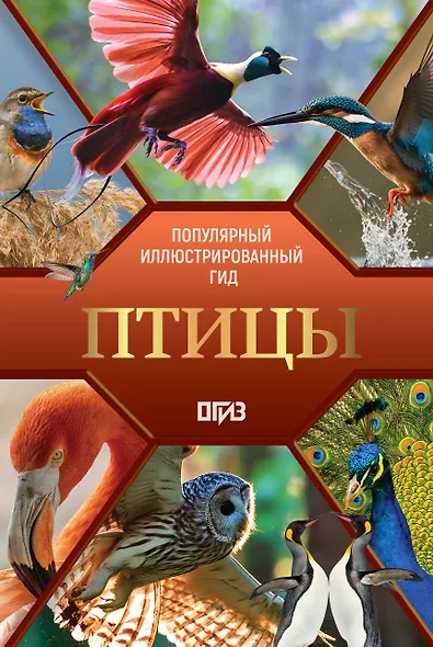 Птицы. Иллюстрированный гид - фото 1