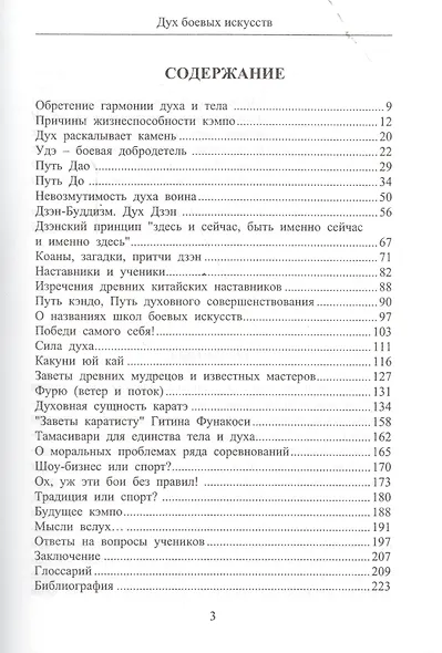 Дух боевых искусств - фото 2