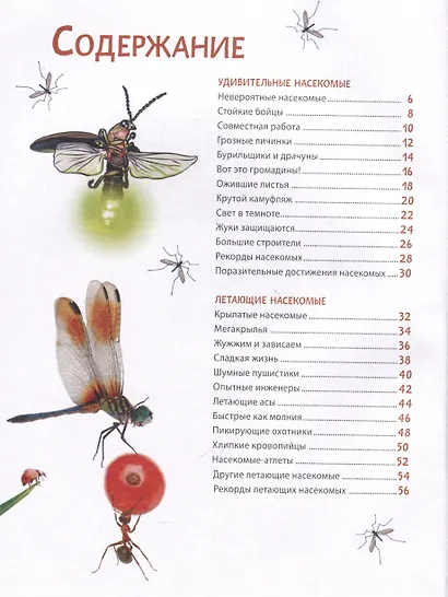 Невероятные насекомые и другие маленькие животные - фото 6