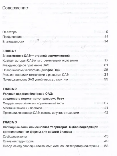 Оазис возможностей: Секреты процветающего бизнеса в ОАЭ - фото 3