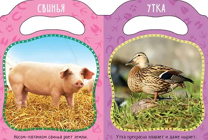 Кто живет в деревне? - фото 2