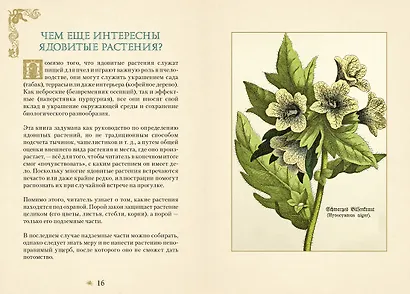Яды. Секретная сила растений - фото 5