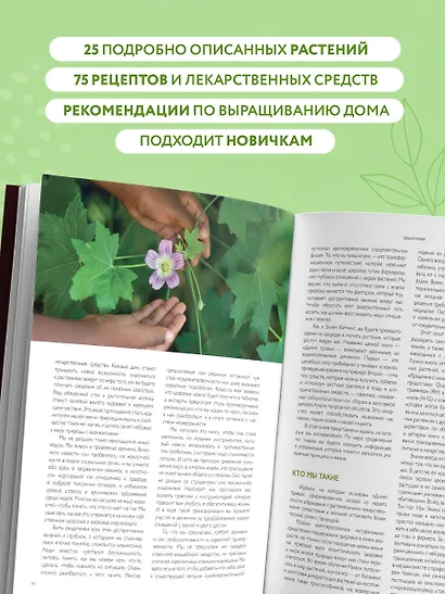 Дикие травы: как найти целебные продукты и создать собственные натуральные лекарства - фото 5