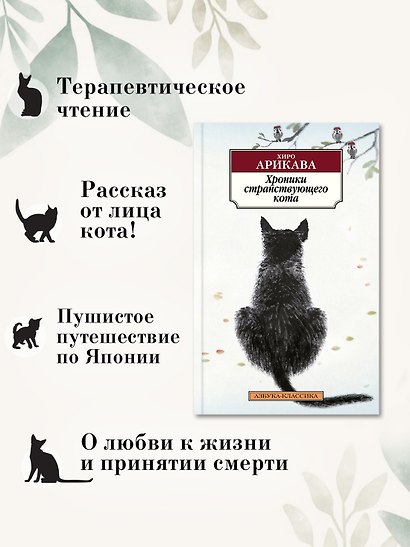 Хроники странствующего кота - фото 5