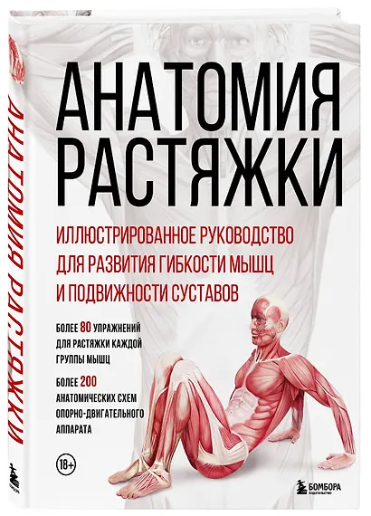 Анатомия растяжки. Иллюстрированное руководство для развития гибкости мышц и подвижности суставов - фото 3