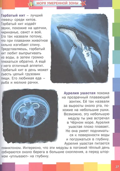 Удивительный подводный мир. Энциклопедия для малышей - фото 5