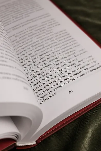 Королева во власти призраков. Роман о Джейн Сеймур - фото 12