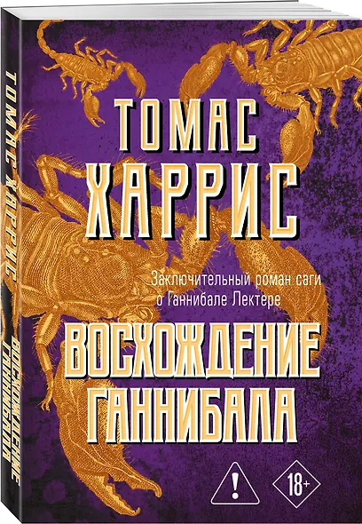 Восхождение Ганнибала - фото 3