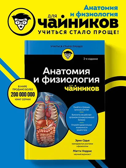 Анатомия и физиология для чайников - фото 4