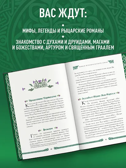 Мифы и легенды кельтов. Коллекционное издание - фото 5
